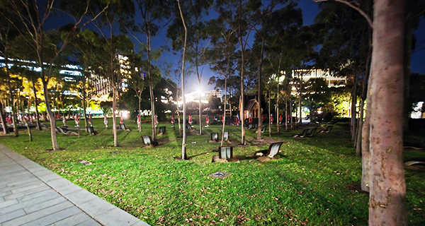 Cadigal Green at night