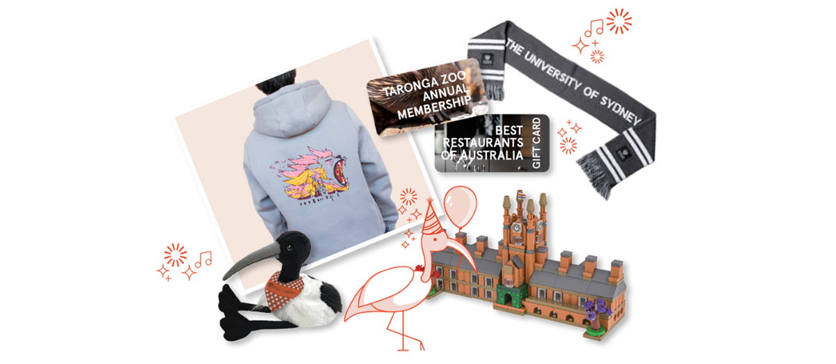 Community Festival prize pack