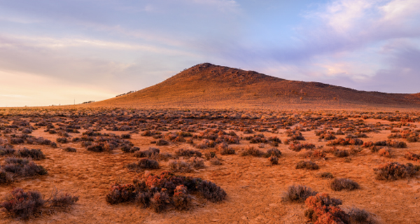 A vast desert landscape at sunset with a small barren hill in the background. The ground is covered with sparse shrubs under a pastel sky.