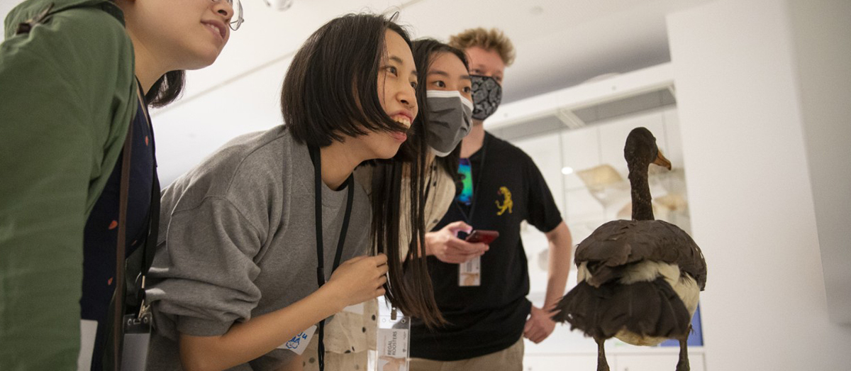 OBL program participants get to handle and observe all sorts of fascinating objects at the Chau Chak Wing Museum.