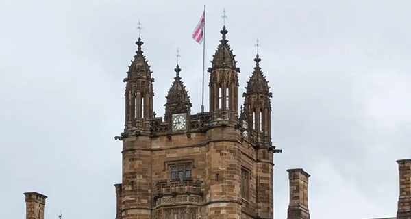 Transgender flag flying above The Quad