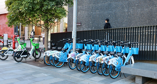 Shared e-bikes parked on campus