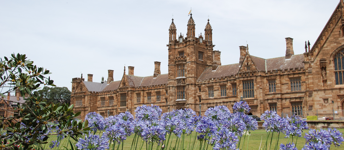 The Quad