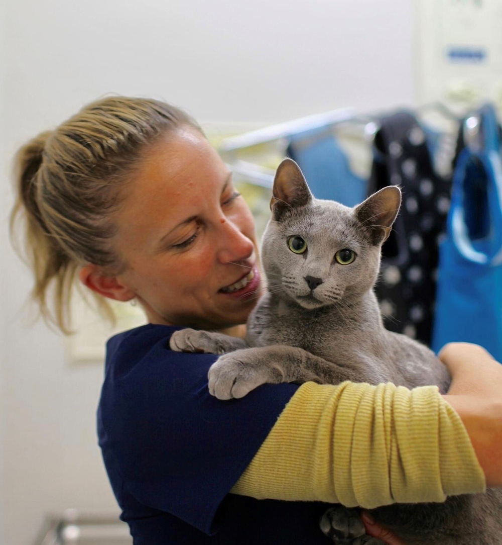 A person holding a grey cat