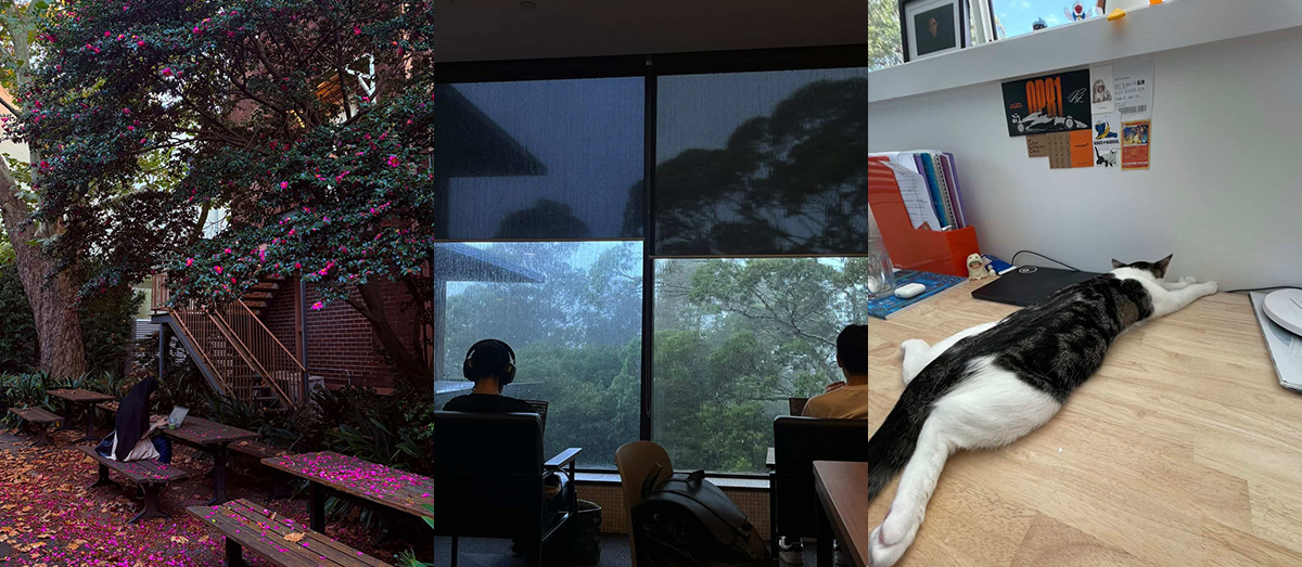 Three contrasting scenes: A vibrant garden with fallen petals, people seated by rainy windows, and a cat lounging on a cluttered desk.