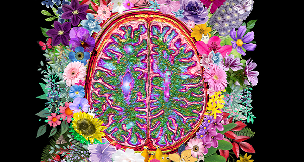 Colorful anatomical brain with intricate pink, purple, and green patterns, surrounded by vibrant flowers and foliage on a black background.