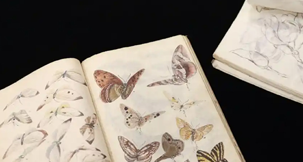 Open book displaying detailed illustrations of butterflies, featuring various sizes and colours on light pages, set against a black background.