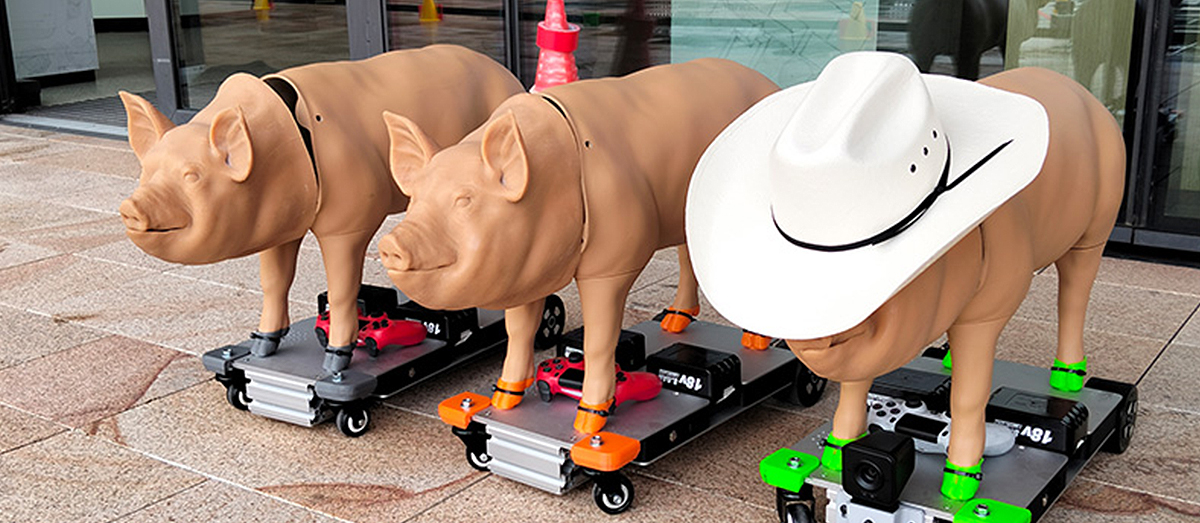 Robotic pigs
