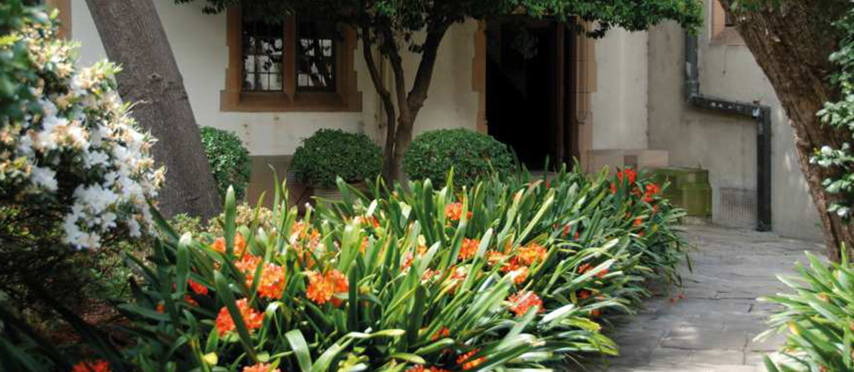 Vice-Chancellor's Garden