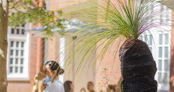 Gadigal Centre Courtyard