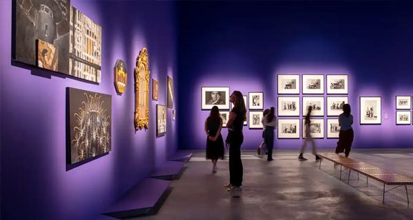 Queers in Focus exhibition at the Chau Chak Wing Museum