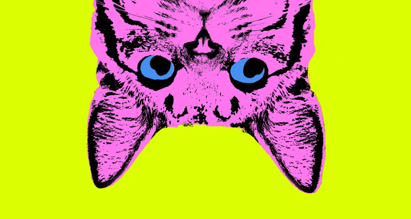 Pop art image of a cat face with bright pink fur and vivid blue eyes, set against a neon yellow background, conveying a bold, playful tone.