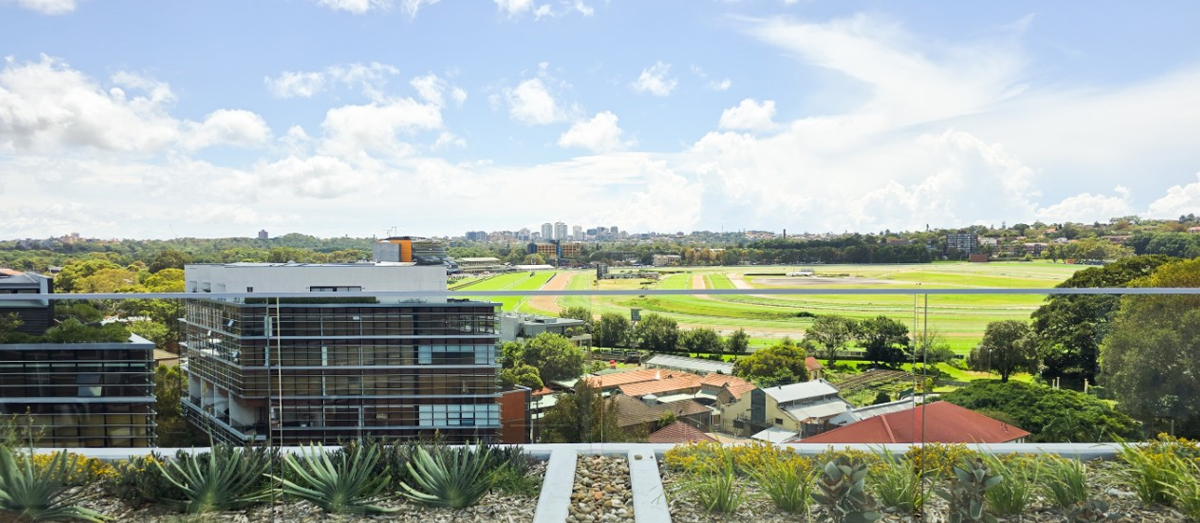 Views from the Kensington accomodation