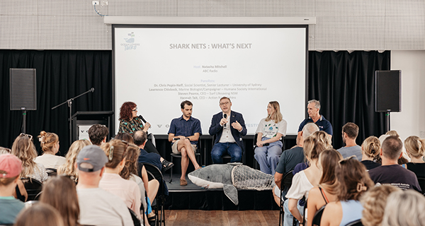 A presentation in an auditorium