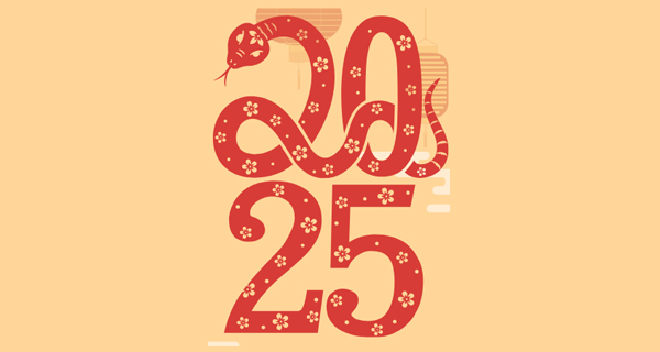 2025 spelled out with a snake